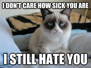 grumpy cat sick